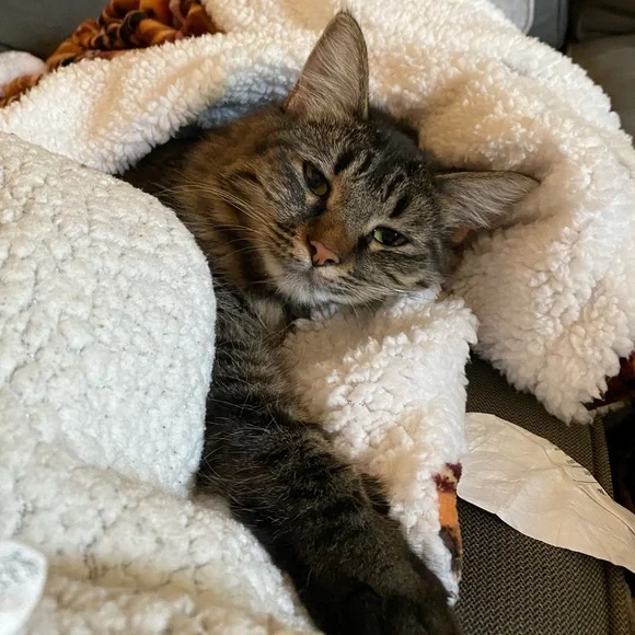 Suggested User & Fast Shipper ! - Picture 12 of 14